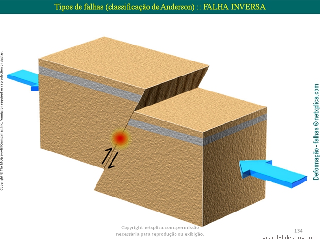 Diapositivo134