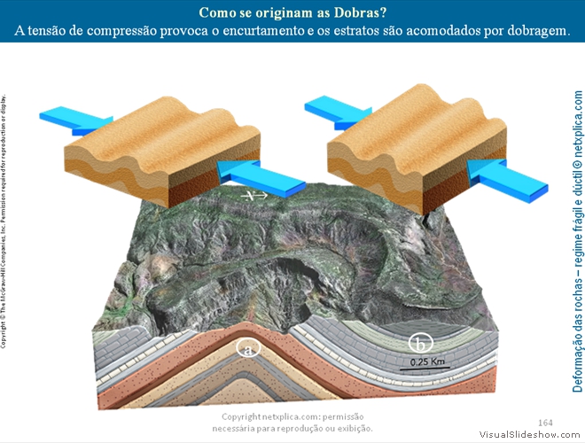 Diapositivo164