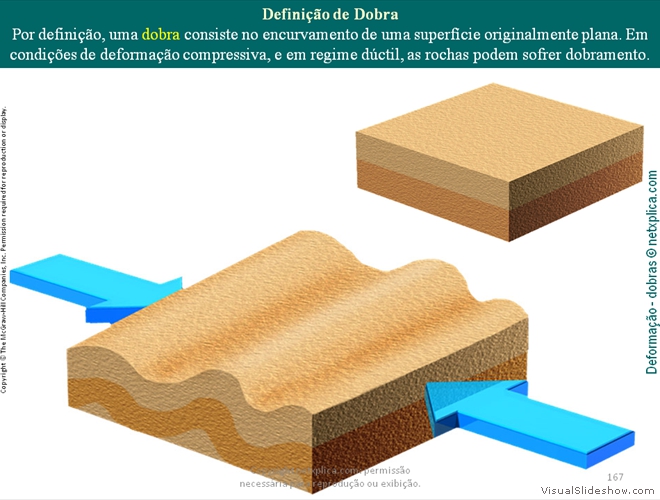 Diapositivo167