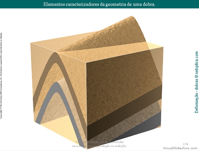 Diapositivo174