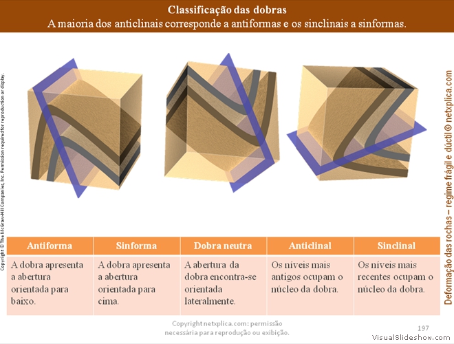 Diapositivo197