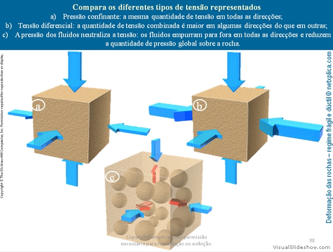 Diapositivo38