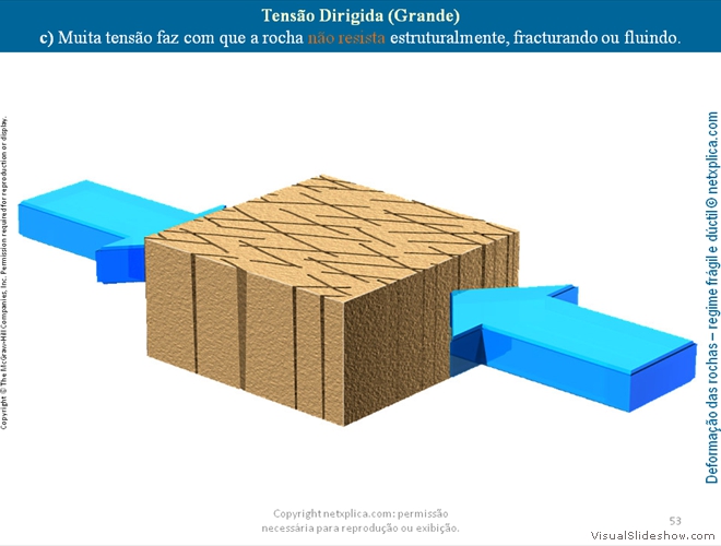 Diapositivo53