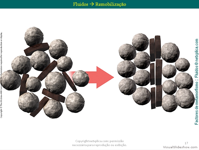 Diapositivo17