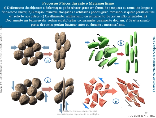 Diapositivo19