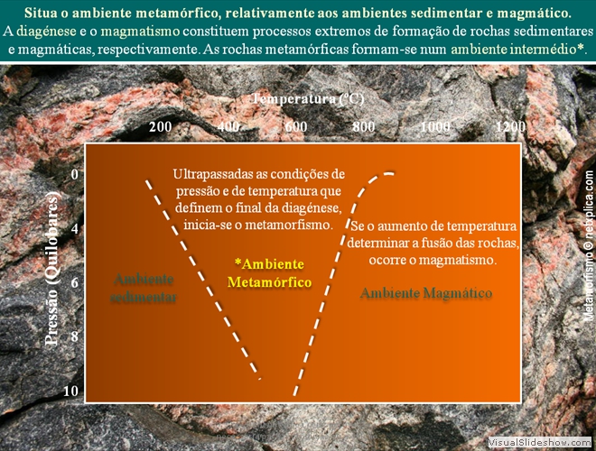 Diapositivo5