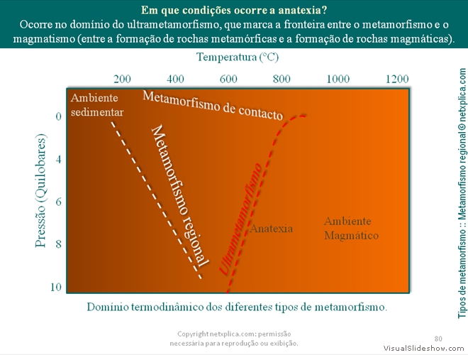 Diapositivo80