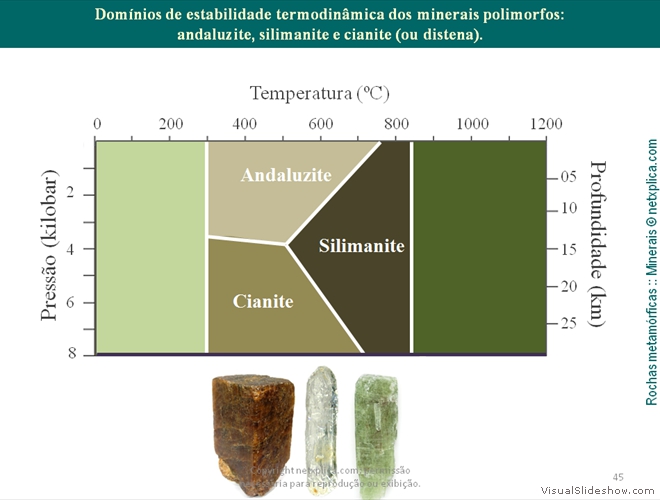 Diapositivo45