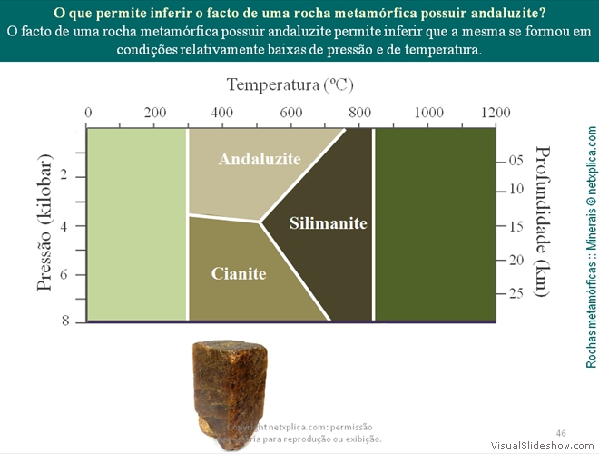 Diapositivo46