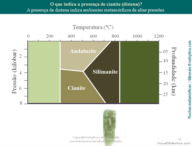 Diapositivo47