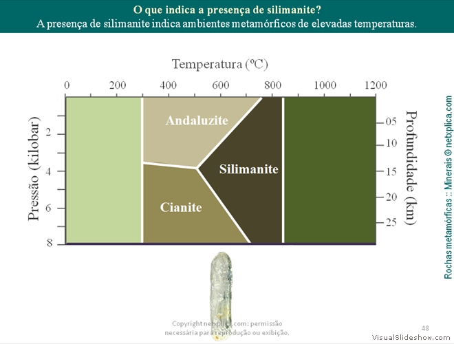 Diapositivo48