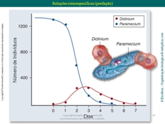 Diapositivo49