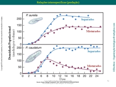 Diapositivo51