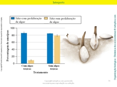 Diapositivo73