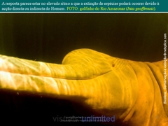 Diapositivo34