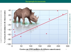 Diapositivo91