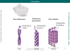 Diapositivo119