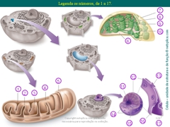 Diapositivo124