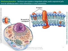 Diapositivo57