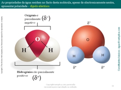 Diapositivo11