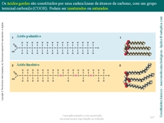 Diapositivo117