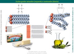 Diapositivo119