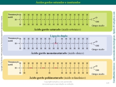 Diapositivo120