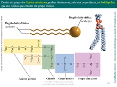 Diapositivo126