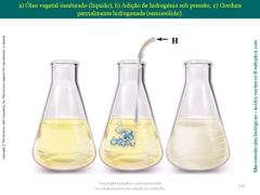 Diapositivo135