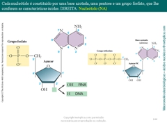 Diapositivo144