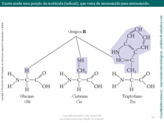 Diapositivo54