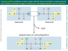 Diapositivo57