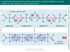 Diapositivo59