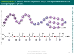 Diapositivo72