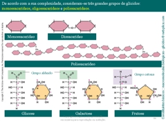 Diapositivo86