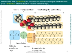 Diapositivo18