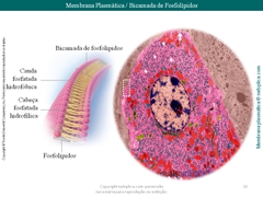 Diapositivo26