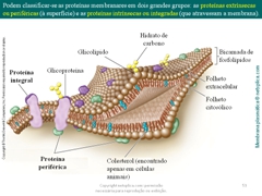 Diapositivo53