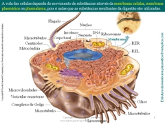 Diapositivo8