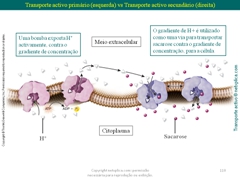 Diapositivo110