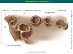 Diapositivo128