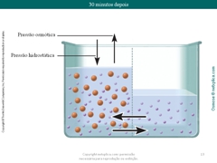 Diapositivo13