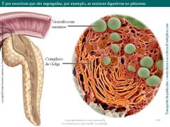 Diapositivo134