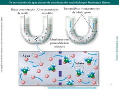 Diapositivo14