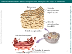 Diapositivo17