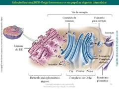 Diapositivo53