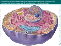 Diapositivo7