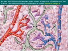 Diapositivo114