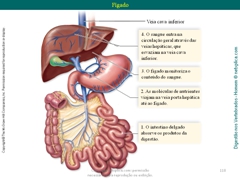 Diapositivo118