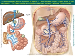 Diapositivo119